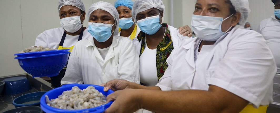 Mujeres camaroneras en proceso de producción.